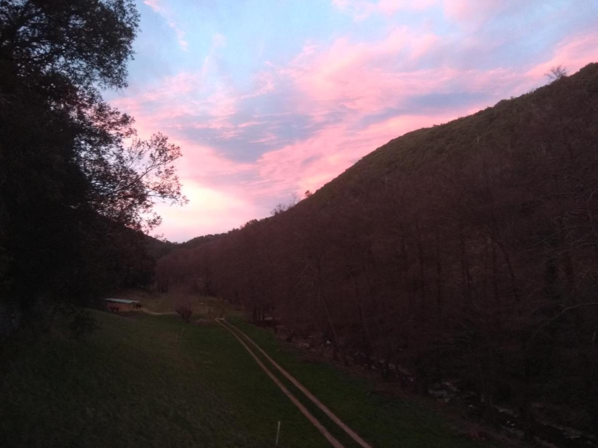 Chambre Cevennes: Piscine, Lamas, Riviere Cros  Exterior foto